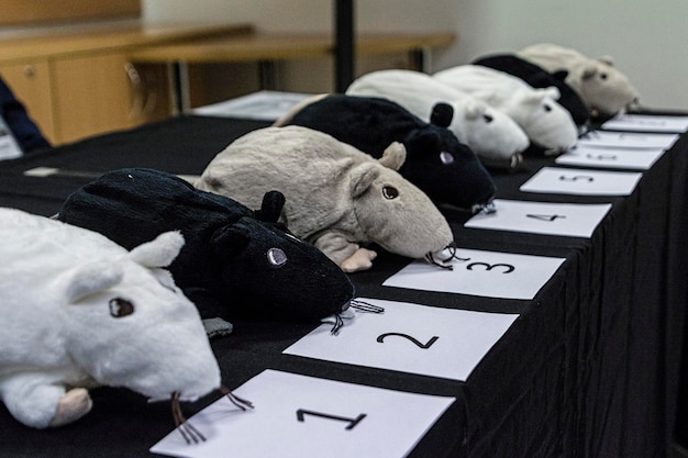 Jakie są gry o zwierzętach i co przyciąga w nich graczy?